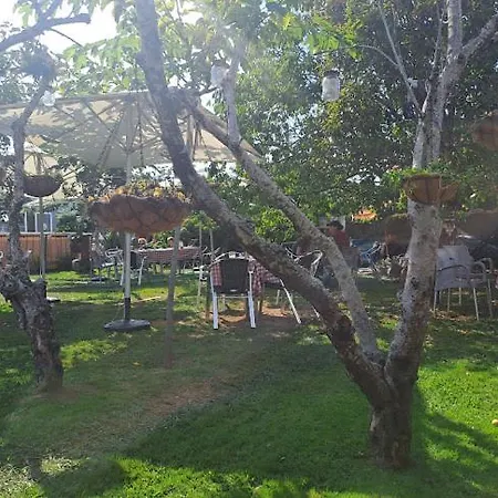 Hostal Vintecatro